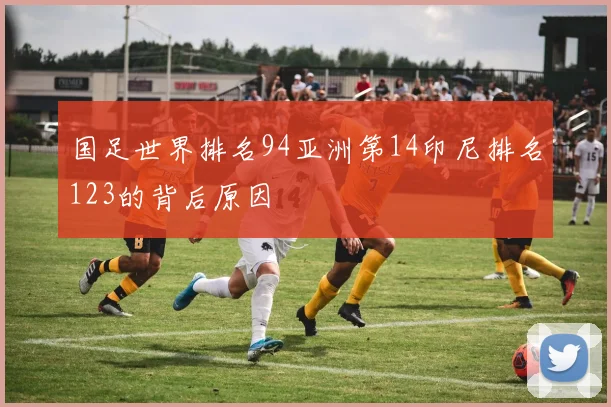 国足世界排名94亚洲第14印尼排名123的背后原因
