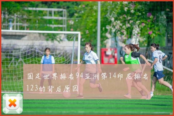 国足世界排名94亚洲第14印尼排名123的背后原因